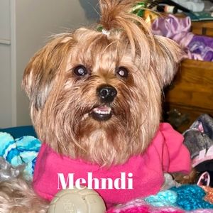 Meet your Posher, Mary